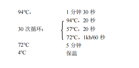 1st Strand cDNA Synthesis Kit(gDNA Purge)常用PCR 循環(huán) 1st Strand cDNA Synthesis Kit(gDNA Purge)常用PCR 循環(huán)