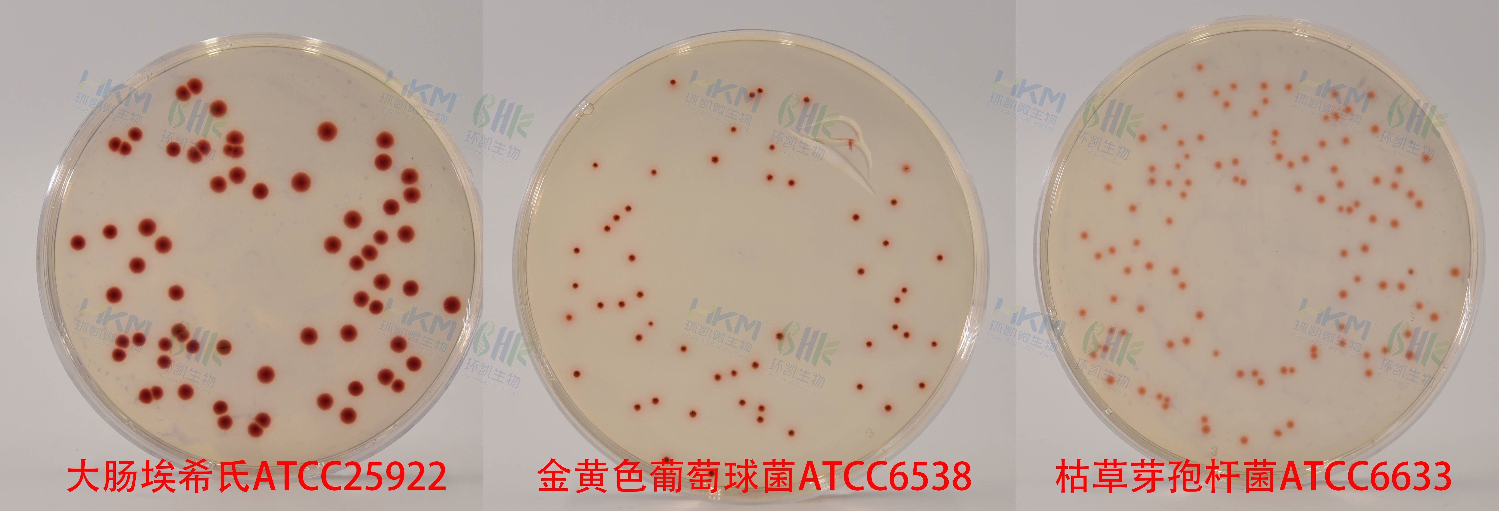 027020 卵磷脂吐溫80營養(yǎng)瓊脂培養(yǎng)基 質(zhì)量控制 027020 卵磷脂吐溫80營養(yǎng)瓊脂培養(yǎng)基 質(zhì)量控制