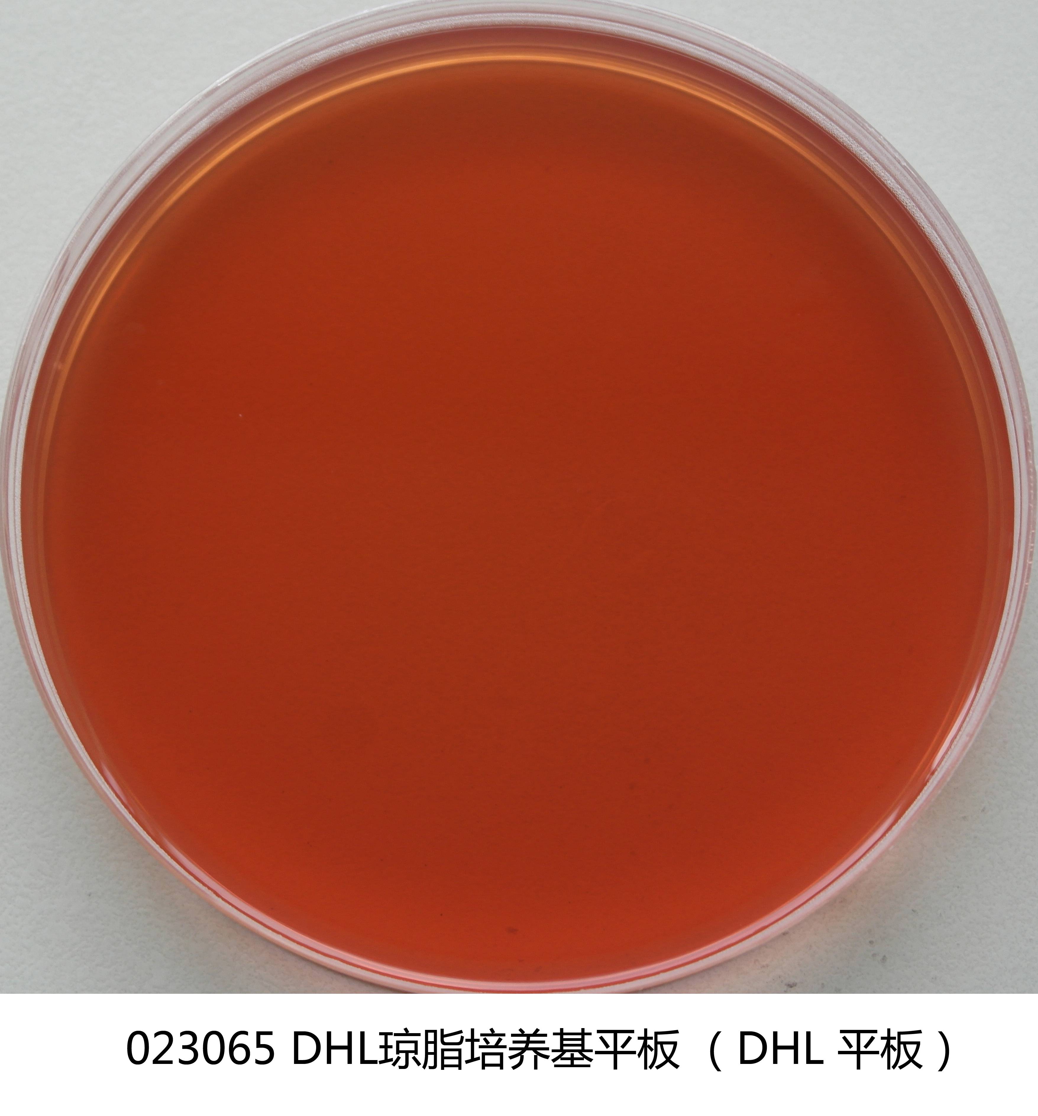 膽硫乳(DHL)瓊脂平板 膽硫乳(DHL)瓊脂平板