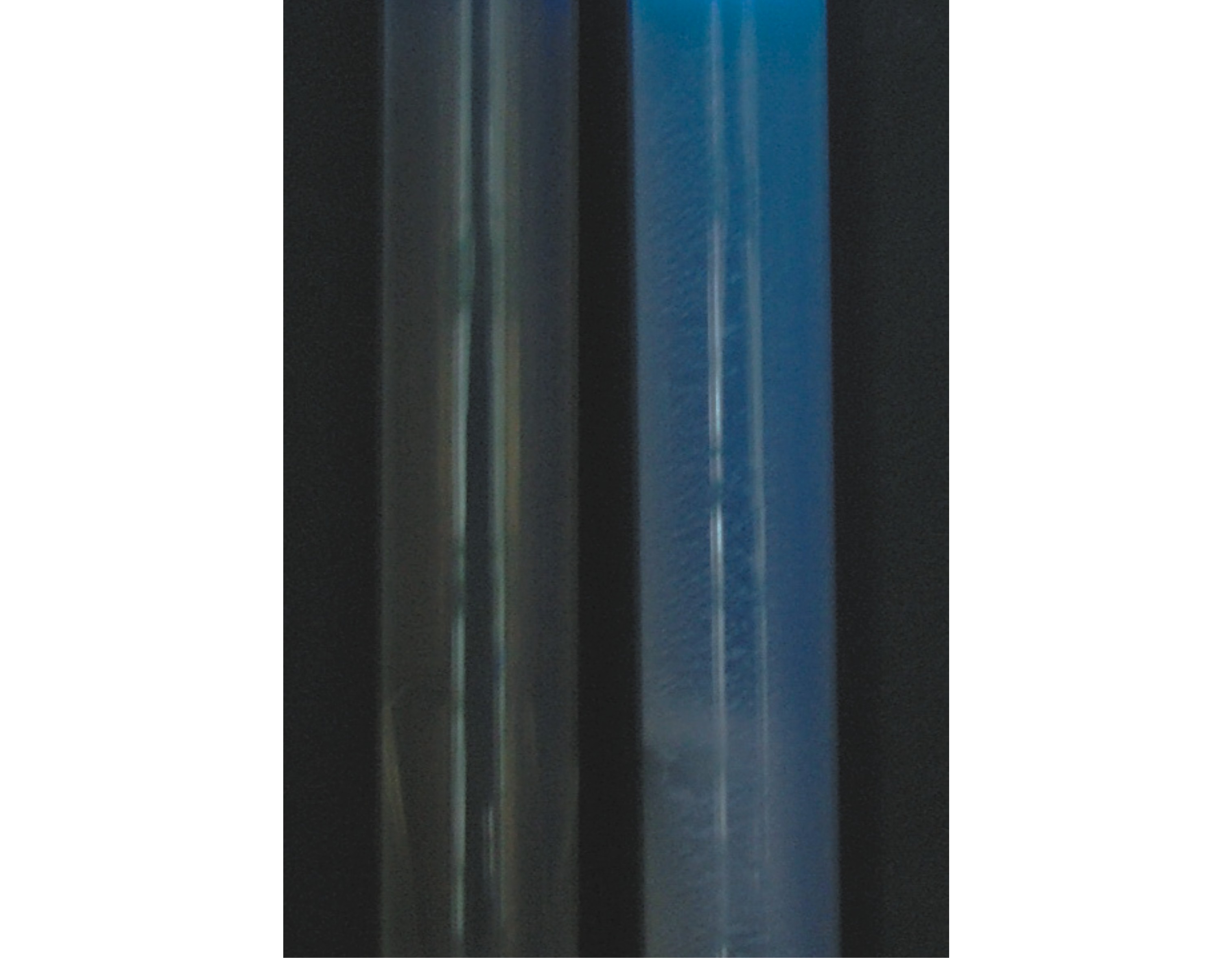 LST-MUG肉湯培養(yǎng)基中細(xì)菌生物特征 LST-MUG肉湯培養(yǎng)基中細(xì)菌生物特征